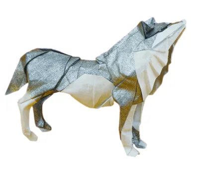 Wolf