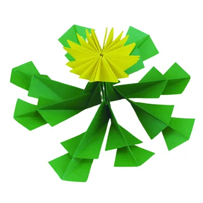 Dandelion