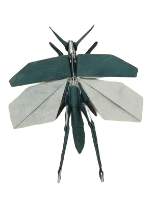 Grasshopper - flying