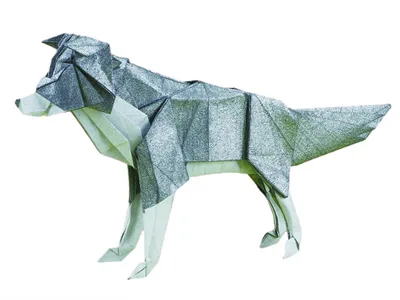 Wolf
