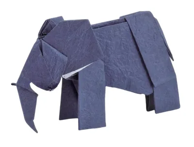 African elephant