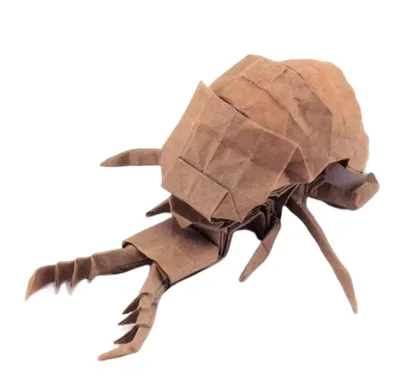 Antlion