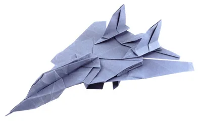 F-14 Tomcat