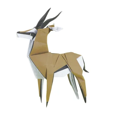 Thomson's gazelle