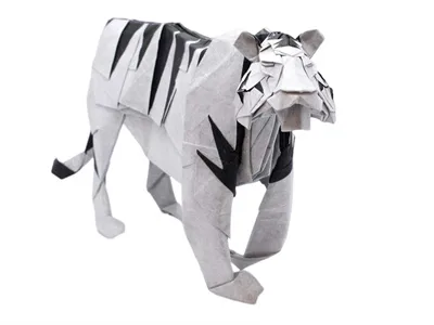White tiger