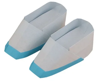 Shoes for indoors