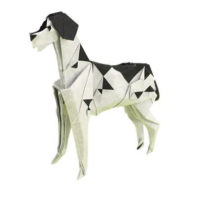 Dalmatian