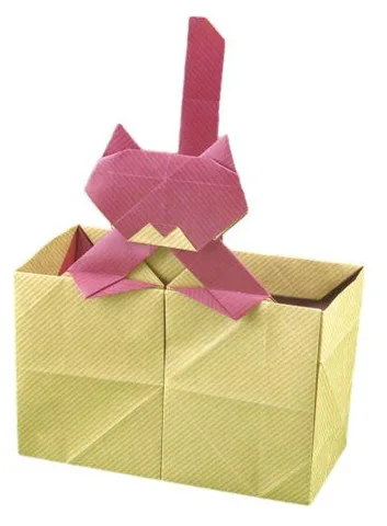Long-tailed cat in box