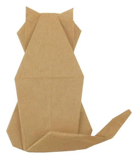 Cat from the back