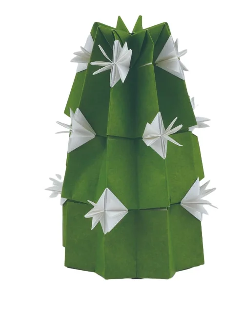 Cactus
