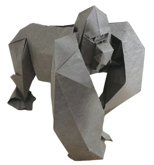 Gorilla