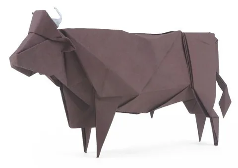Wagyu bull