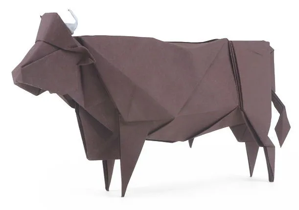 Wagyu bull