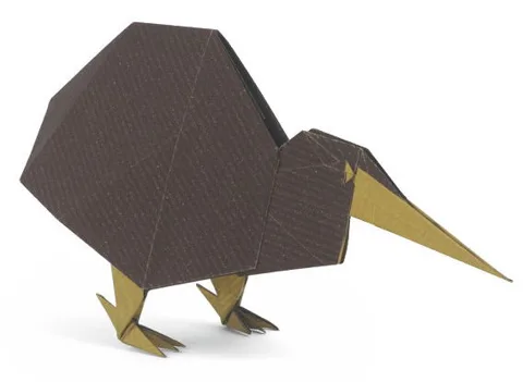 Kiwi