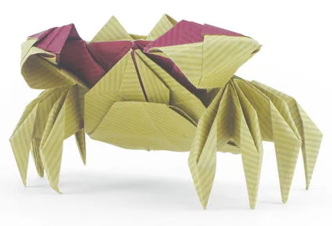 Red-clawed crab