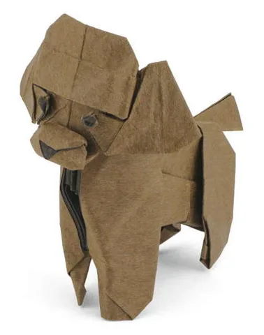 Toy poodle