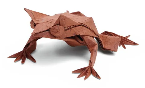 Long-nosed horned frog