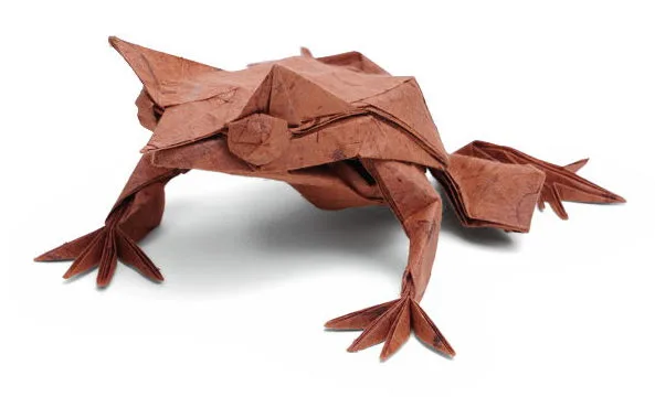 Long-nosed horned frog