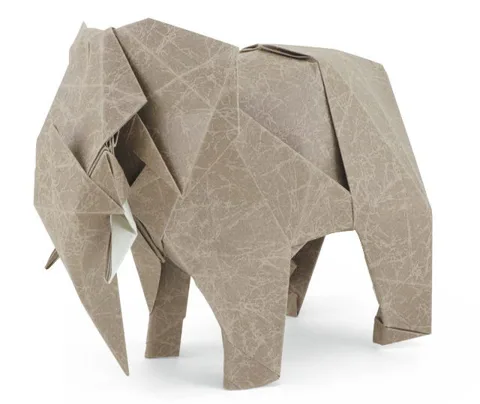 African elephant