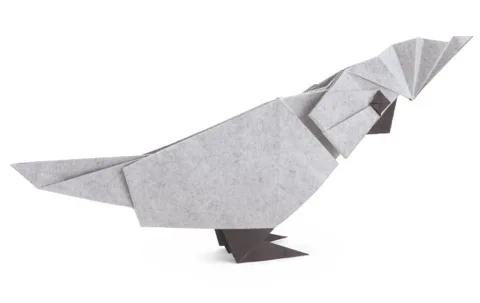 White cockatoo