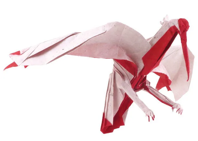 Crested ibis