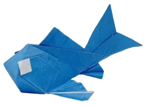 Carp