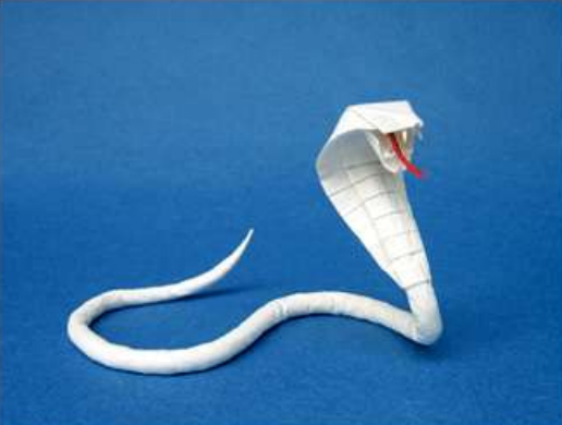 Cobra