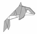 Killer whale