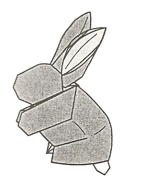 Rabbit