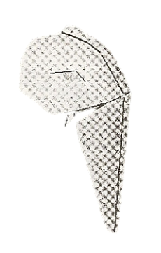 Elephant head