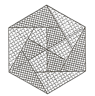 Hexa-coaster