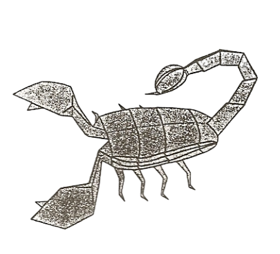 Scorpion