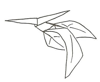 Pteranodon