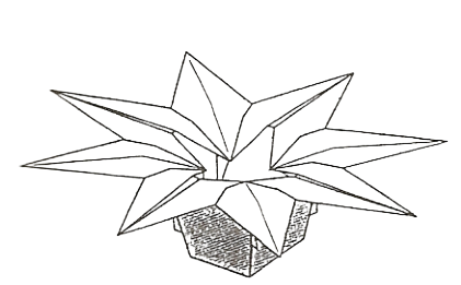 Basket - star