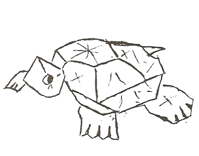 Turtle