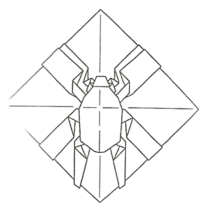 Beetle - 2D