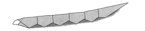 Caterpillar