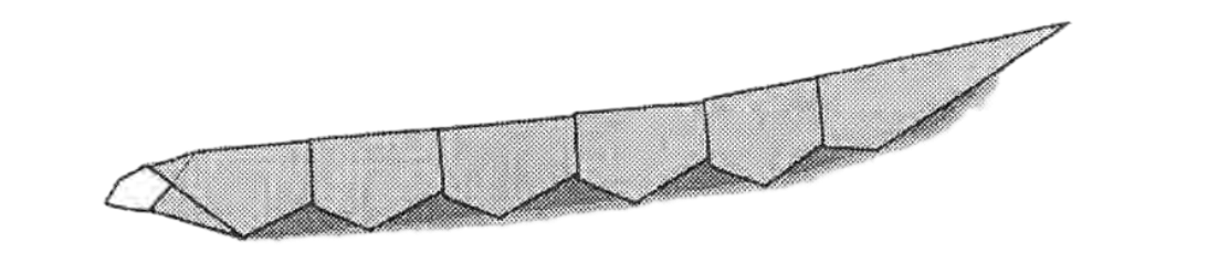 Caterpillar