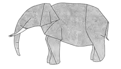 Asian elephant