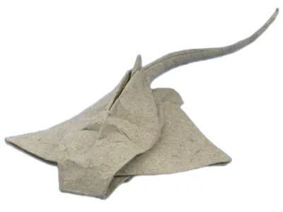 Eagle ray