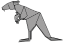 Kangaroo