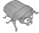 Beetle