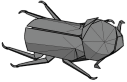 Rhinoceros beetle