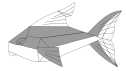 Ornamental fish