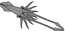 Squid