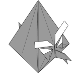 Bellicose bird