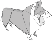 Collie