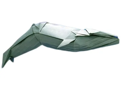 Blue whale