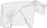 Hippopotamus