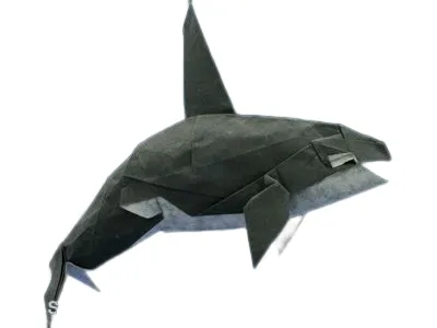 Orca